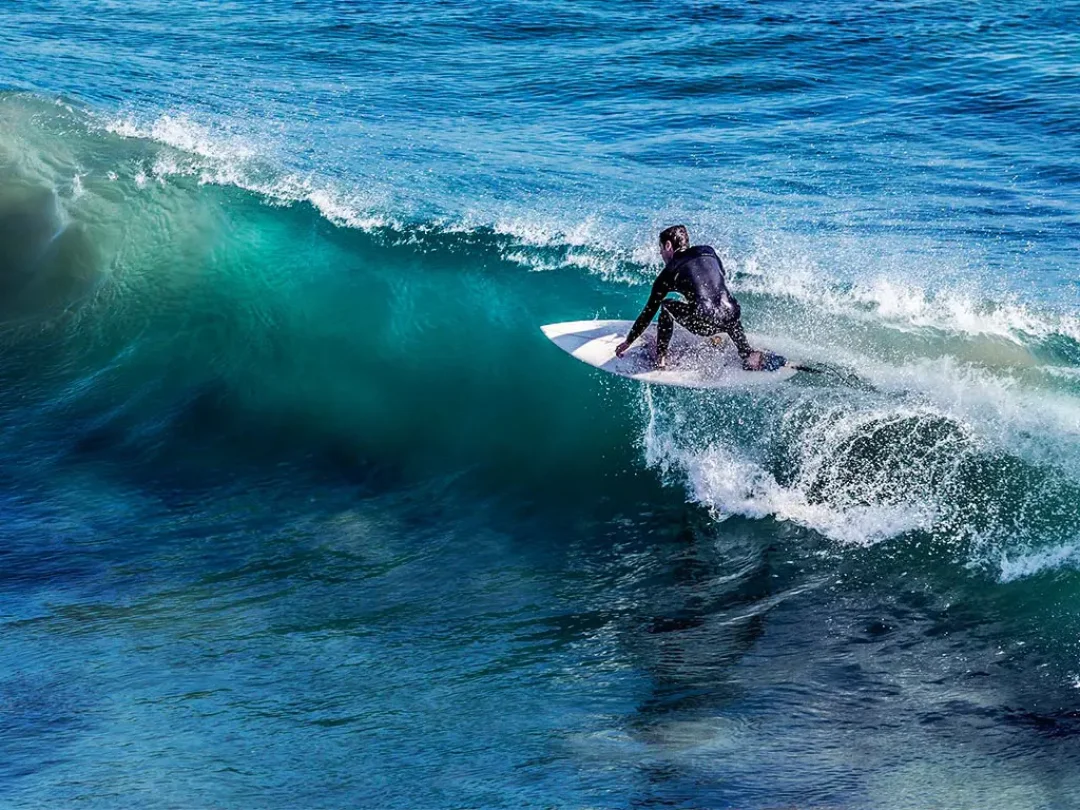 Surf
