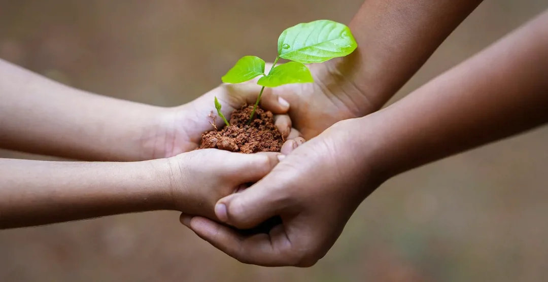 Sustainability